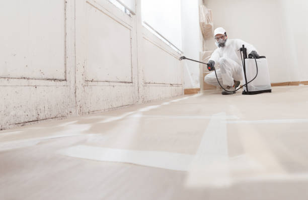 24/7 Emergency Mold Remediation experts in Springfield, MA