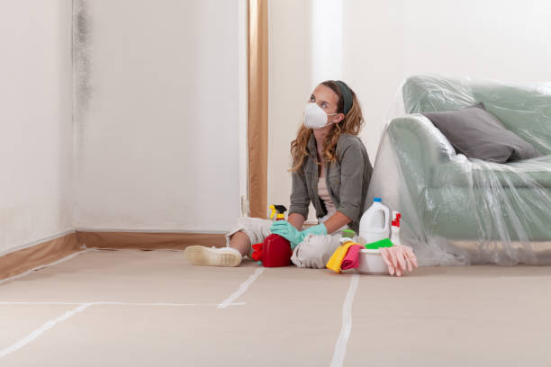Reliable Mold Remediation contractor in Springfield, MA by Car Mold Remediation